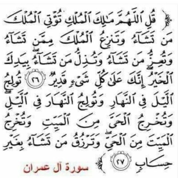 Meet your Posher, Moktar - Picture 1 of 1